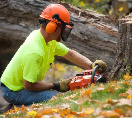 tree services Bridgeton